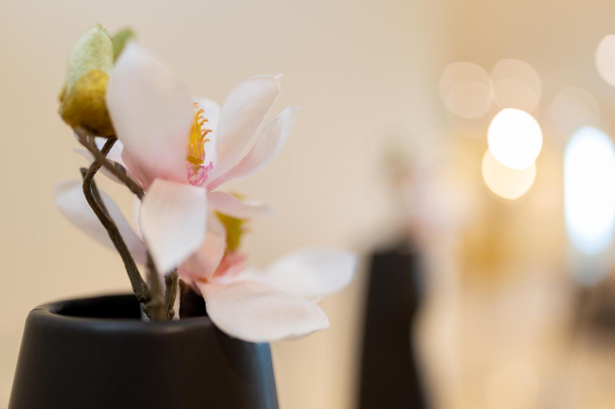 Hotel Ben Aouda & Spa Tipaza Екстер'єр фото